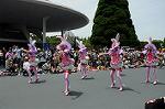 Dcim6884/DSC_9046