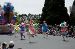 Dcim6884/DSC_9051
