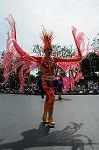 Dcim6886/DSC_9487