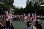 Dcim6889/DSC_9997