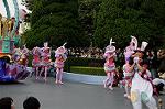 Dcim6890/DSC_0067