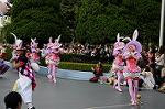 Dcim6890/DSC_0068