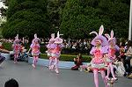 Dcim6890/DSC_0069