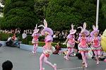 Dcim6890/DSC_0072