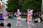 Dcim6890/DSC_0074