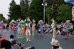 Dcim6890/DSC_0125