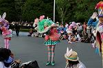Dcim6890/DSC_0138