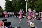 Dcim6890/DSC_0141
