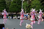 Dcim6890/DSC_0142
