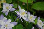 Dcim6891/DSC_0220