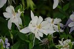 Dcim6891/DSC_0221