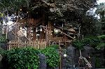Dcim6891/DSC_0294