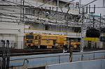 Dcim6895/DSC_0923