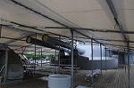 Dcim6896/DSC_1119