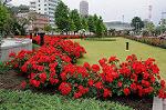 Dcim6901/DSC_1767