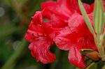 Dcim6903/DSC_2828