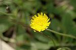 Dcim6904/DSC_2974