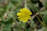 Dcim6904/DSC_2978