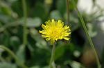 Dcim6904/DSC_2980