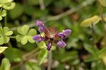 Dcim6904/DSC_2983