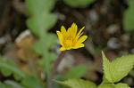 Dcim6904/DSC_3014
