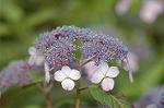 Dcim6904/DSC_3048