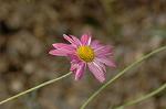 Dcim6904/DSC_3090