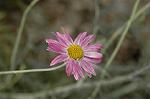 Dcim6904/DSC_3091