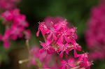 Dcim6905/DSC_3141