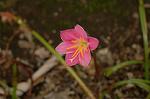 Dcim6905/DSC_3179
