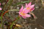 Dcim6905/DSC_3185