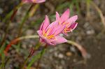 Dcim6905/DSC_3189