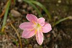 Dcim6905/DSC_3202