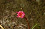 Dcim6905/DSC_3204
