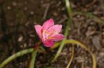 Dcim6905/DSC_3206