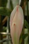 Dcim6906/DSC_3374