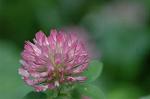 Dcim6908/DSC_3404