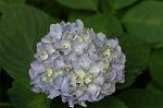 Dcim6908/DSC_3432