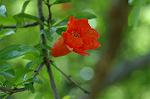 Dcim6908/DSC_3475