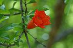 Dcim6908/DSC_3476