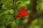 Dcim6908/DSC_3480