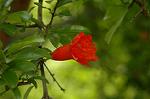 Dcim6908/DSC_3481