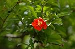 Dcim6908/DSC_3482