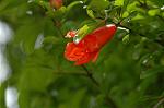 Dcim6908/DSC_3485