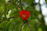 Dcim6908/DSC_3486