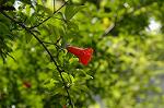 Dcim6908/DSC_3487
