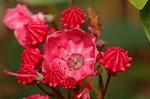 Dcim6909/DSC_3509