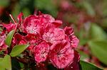 Dcim6909/DSC_3522