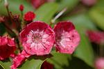 Dcim6909/DSC_3531