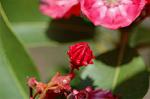 Dcim6909/DSC_3536